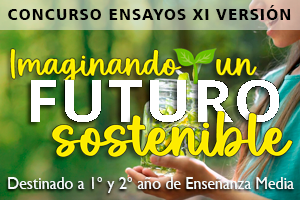 Concurso Ensayos 2025