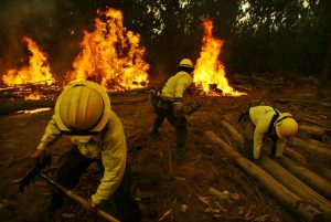 Incendio forestal