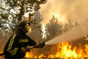 Incendio forestal