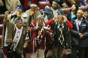 Mapuches