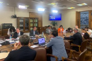 Comisión de Constitución