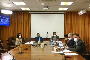 Comisión de Constitución