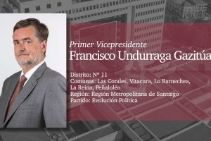 Vicepresidente F. Undurraga