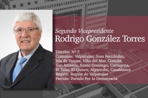 Vicepresidente R. González
