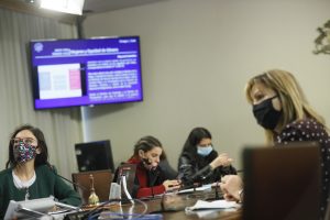 Comisión Mujeres 13.05.20