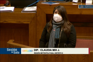 Dip. Claudia Mix entrega informe