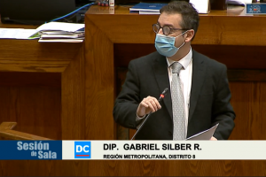 Dip. Silber rinde informe