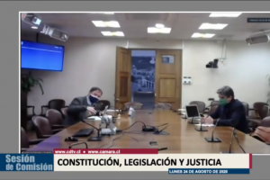 Comisión de Constitución