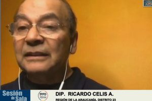 Dip. Ricardo Celis