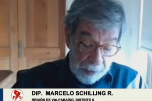 Dip. Schilling rinde informe