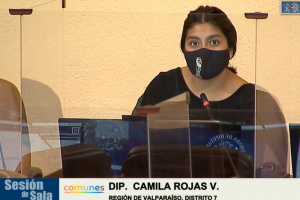 Dip. Camila Rojas