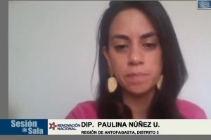 Dip. Paulina Núñez