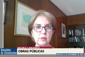 Ministra Gloria Hutt