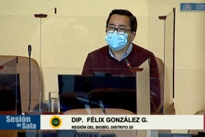 Dip. Félix González