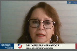 Dip. Marcela Hernando