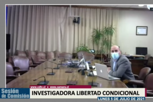 Pdte. Comisión Investigadora 