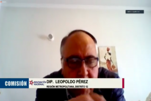 Dip. Leopoldo Pérez