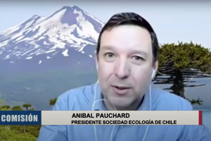 Aníbal Pauchard