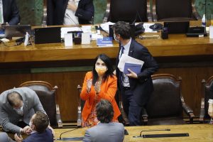 Ministra Rubilar festeja aprobación