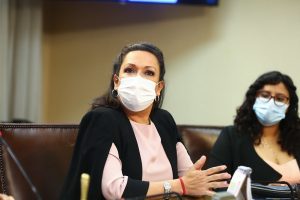 Dip. Marisela Santibáñez