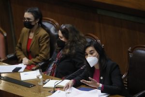 Ministra expone posición del Gobierno