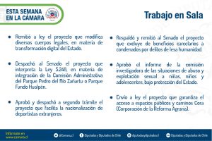 Lámina de resumen de trabajo en Sala