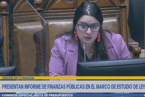 Javiera Martínez expone informe