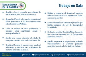 Lámina de resumen