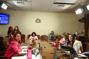 Comisión de Mujeres