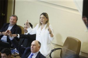 Dip. Marlene Pérez, en aprobación de la propuesta