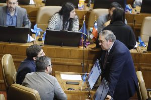 Dip. de bancada PPD e independientes