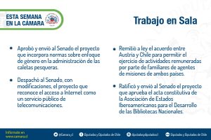 Lámina resumen