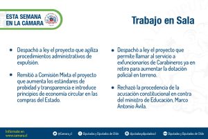 Lámina resumen