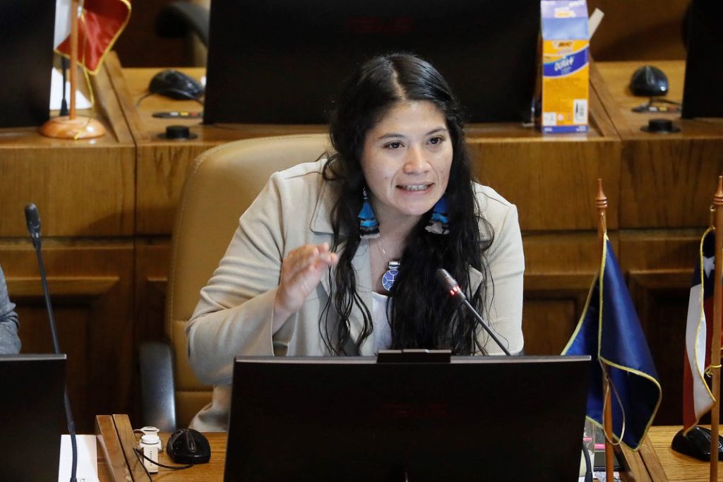 Dip. Ericka Ñanco, una de las autora de la resolución que llama a evitar los conflictos de interés