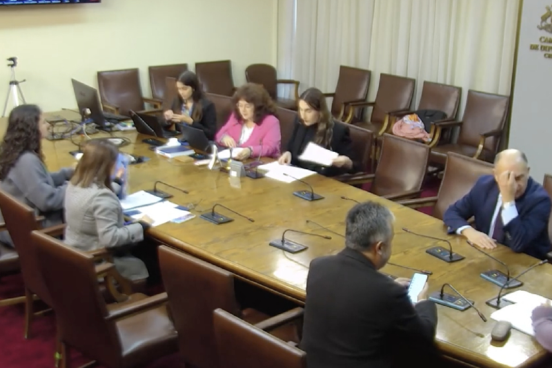 Comisión de Educación analizó problemática con el PIE (Programa de integración escolar)
