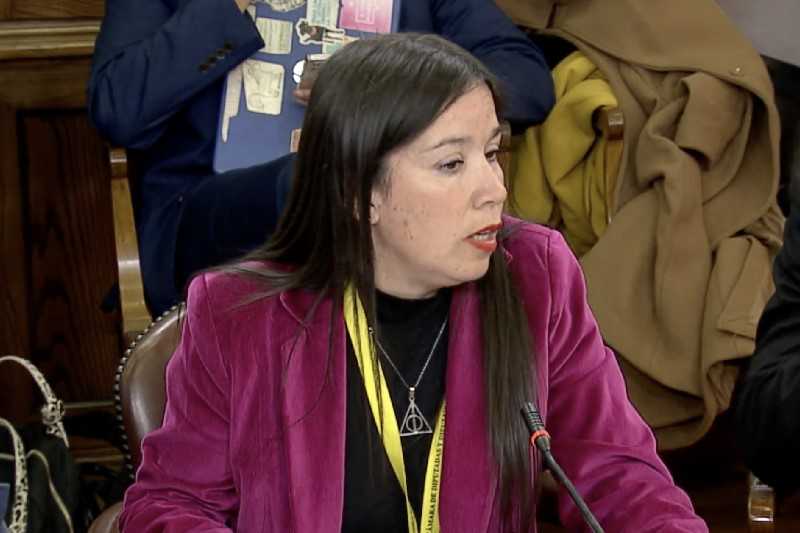 Representante de Dipreca en la sesión de la Comisión de Trabajo