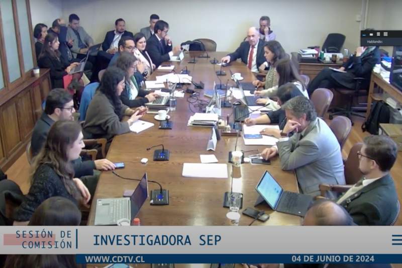 investigadora