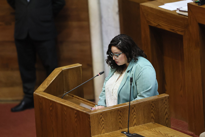 Dip. Mónica Arce rindió el informe que acusa estancamiento en la Ley Ricarte Soto