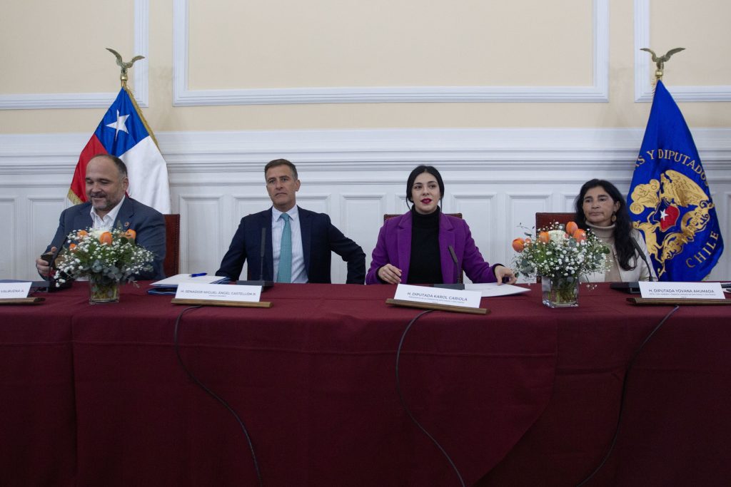 Presidenta Cariola en seminario con la Unión Europea sobre energía eléctrica
