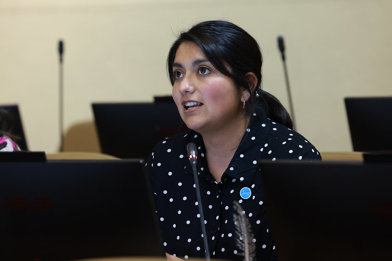 Dip. Camila Rojas abrió el debate sobre el caso Hermosilla