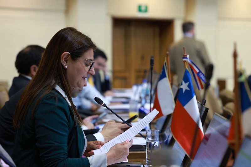 Dip. Sofía Cid, presidenta de la comisión acusación