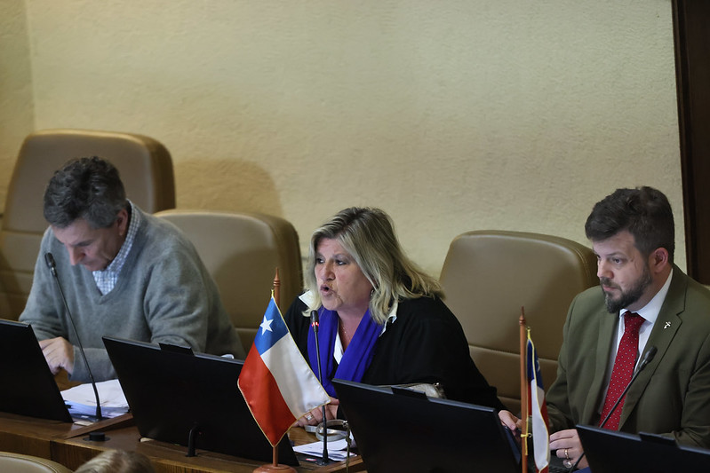 Dip. Gloria Naveillan en el debate.