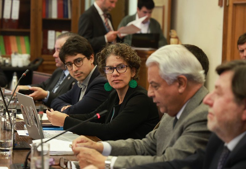 Ministra de Medio ambiente Maisa Rojas