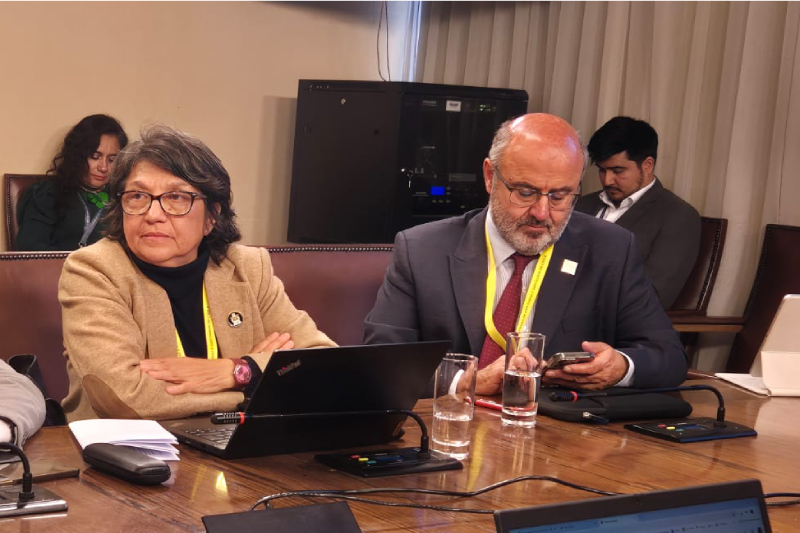 Rectora UMCE expone por PL sobre ingreso pedagogía