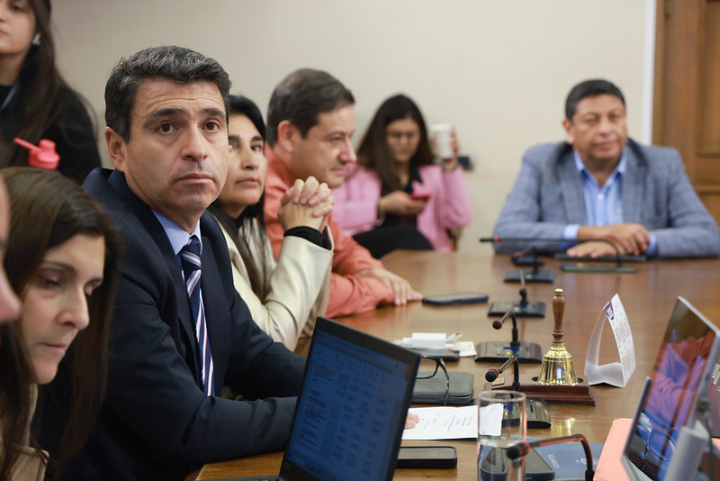 Comisión de Minería analizó situación del litio con empresas chinas