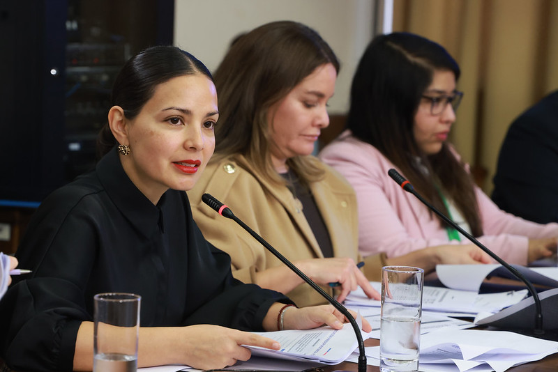 La ministra de las Culturas, las Artes y el Patrimonio, Carolina Arredondo, asistió este lunes 19 de mayo a la Comisión de Cultura para responder una serie de cuestionamientos sobre la gestión institucional y conflictos laborales en el Servicio Nacional del Patrimonio Cultural. Acompañada de las subsecretarias del área, abordó también la situación presupuestaria y administrativa del Ministeri