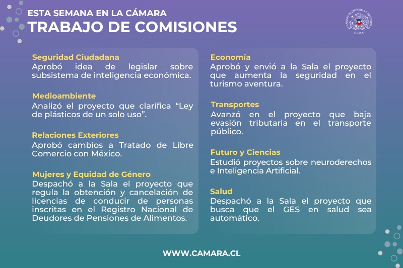 Mejoras al GES entre materias que abordaron las comisiones