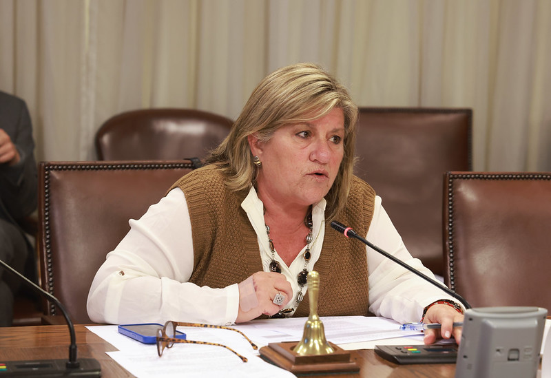 PL sobre placa patente y el de seguridad en concesiones viales