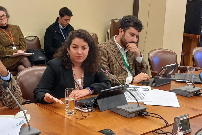 Ministra Toro expone proyecto sobre Ley integral de Adopción