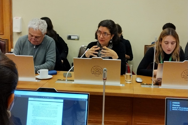 aborda PL sobre neuroderechos e IA
